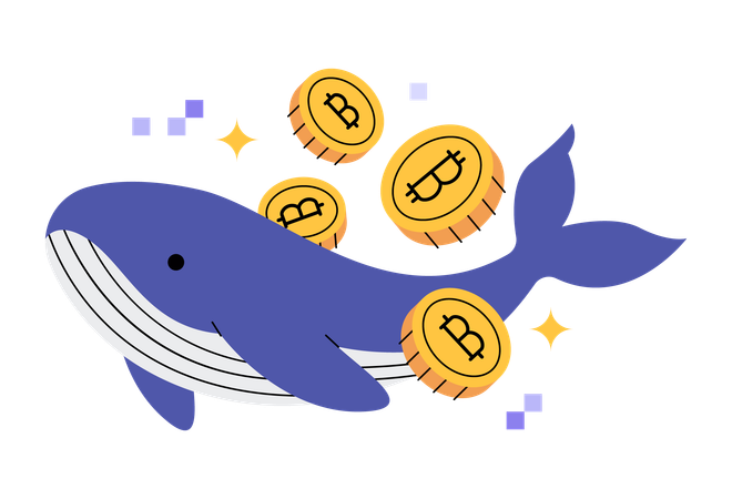 WhaleRadr.com